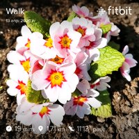 fitbitshare_1964234880.JPEG