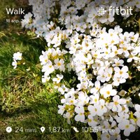 fitbitshare_220299746.JPEG