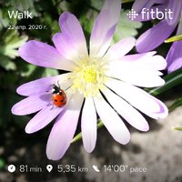 fitbitshare_576144841.JPEG