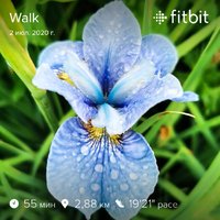 fitbitshare_290228613.JPEG