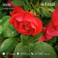 fitbitshare_537585523.JPEG