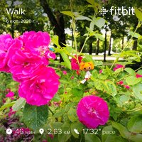 fitbitshare_618098564.JPEG