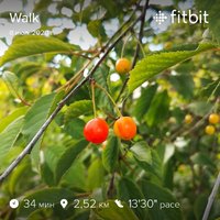 fitbitshare_1135400825.JPEG