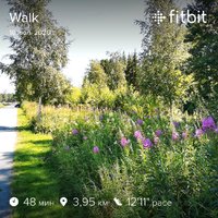 fitbitshare_1636589519.JPEG