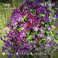 fitbitshare_1826246408.JPEG