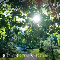 fitbitshare_201622372.JPEG