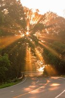 21c5b18fed83cb3e0d67787c88c77549--heart-photography-sun-rays.jpg