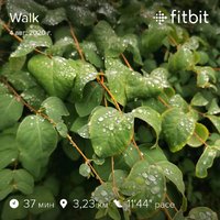 fitbitshare_983819846.JPEG