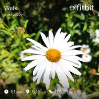 fitbitshare_1306949462.JPEG