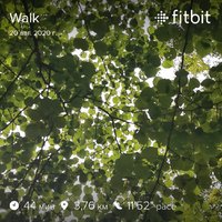 fitbitshare_211180460.JPEG