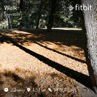 fitbitshare_2025806098.JPEG