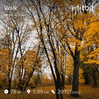 fitbitshare_1697844421.JPEG