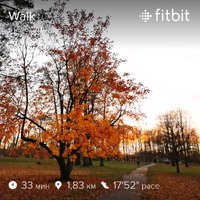 fitbitshare_505627461.JPEG