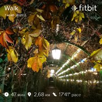 fitbitshare_612210487.JPEG