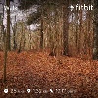 fitbitshare_1878787679.JPEG