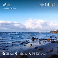 fitbitshare_1878673584.JPEG