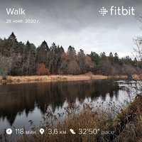 fitbitshare_254488303.JPEG