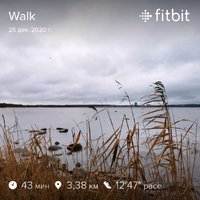 fitbitshare_435228771.JPEG