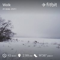 fitbitshare_1075335867.JPEG