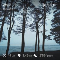 fitbitshare_87705139.JPEG