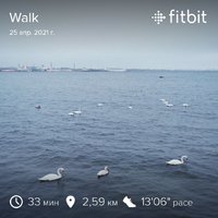 fitbitshare_177929500.JPEG