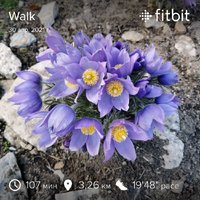 fitbitshare_588520353.JPEG