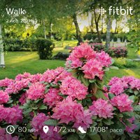 fitbitshare_1308001175.JPEG