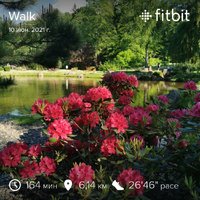 fitbitshare_2001943616.JPEG