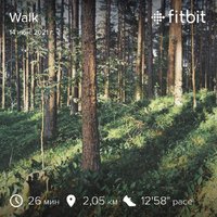 fitbitshare_198059173.JPEG