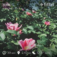 fitbitshare_592333565.JPEG