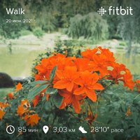 fitbitshare_719568632.JPEG