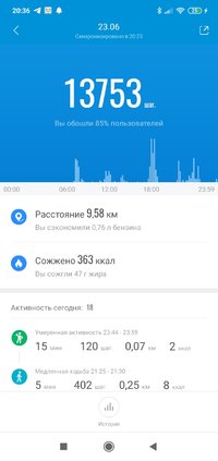 Screenshot_2021-06-24-20-36-59-441_com.xiaomi.hm.health.jpg