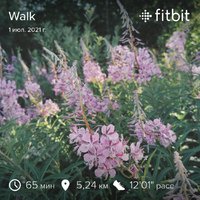 fitbitshare_1658613627.JPEG