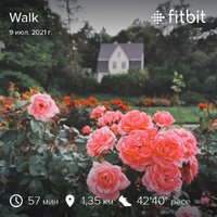 fitbitshare_385057167.JPEG