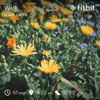 fitbitshare_456619996.JPEG