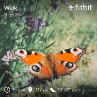 fitbitshare_802259338.JPEG