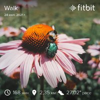 fitbitshare_1479510369.JPEG