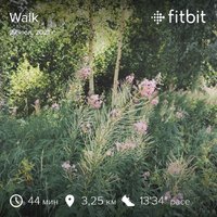 fitbitshare_1752981314.JPEG