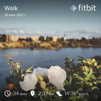 fitbitshare_1949061182.JPEG