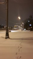 13.01.16 снегопад.jpg