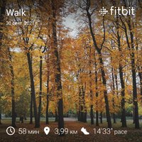 fitbitshare_925338451.JPEG