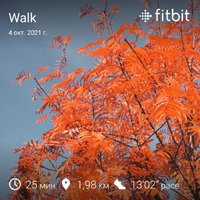 fitbitshare_1245948855.JPEG