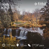 fitbitshare_1629460514.JPEG