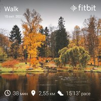 fitbitshare_72856696.JPEG