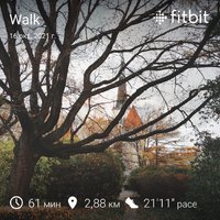 fitbitshare_162518342.JPEG