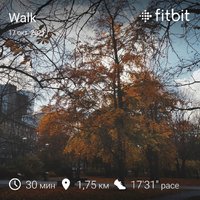 fitbitshare_244379890.JPEG