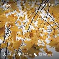 fitbitshare_766469880.JPEG