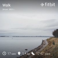 fitbitshare_854463328.JPEG