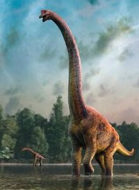 Brachiosaurus_%28V2%29.jpg