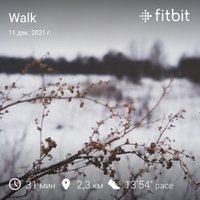 fitbitshare_697638085.JPEG